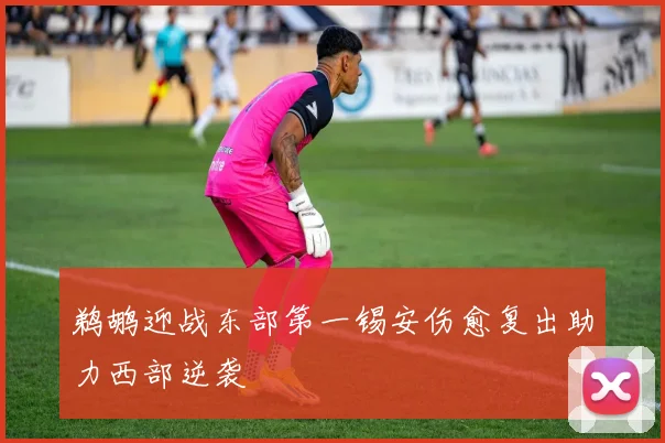 鹈鹕迎战东部第一锡安伤愈复出助力西部逆袭
